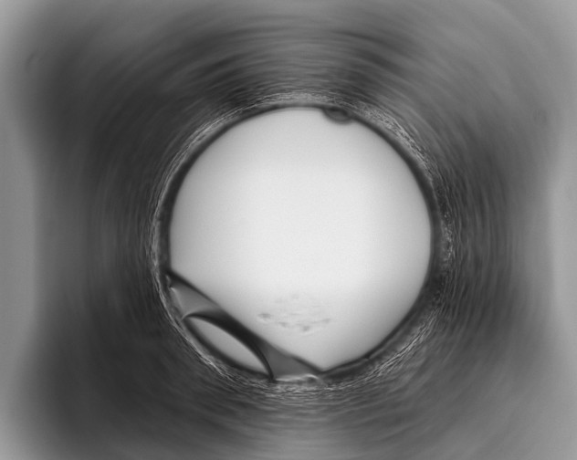 X0000095930898200802081214