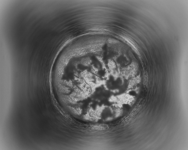 X0000095930899200802081214