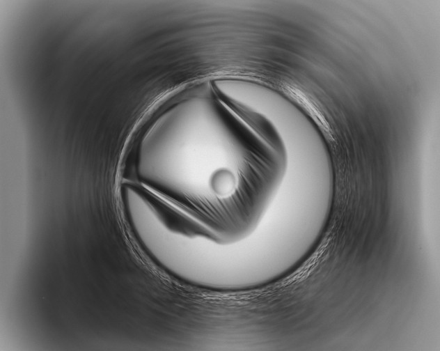 X0000095930900200802081214