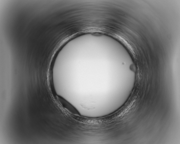X0000095930901200802081214