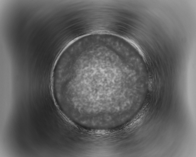 X0000095930903200802081214