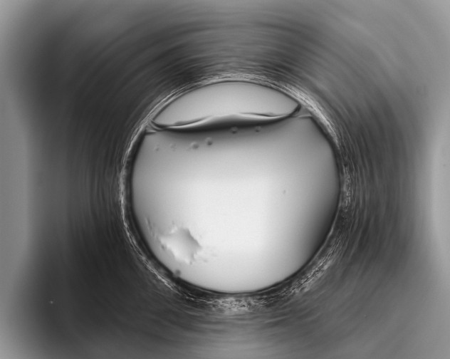 X0000095930906200802081214