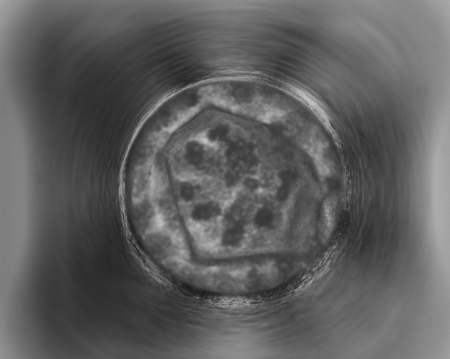 X0000095930907200802081214