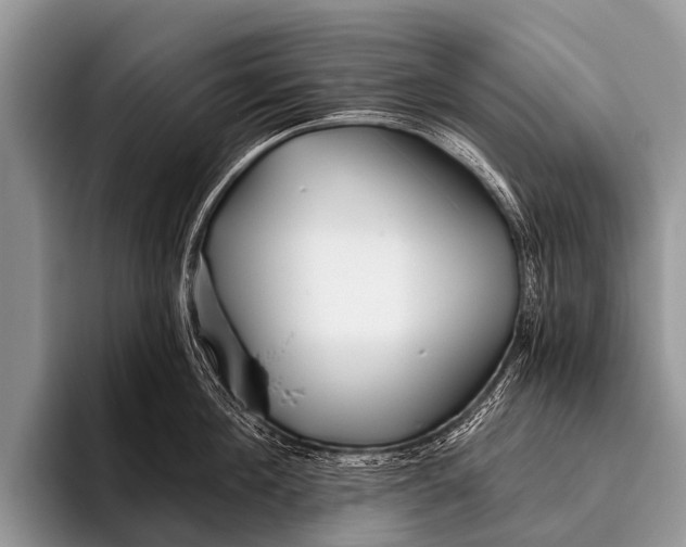 X0000095930908200802081214