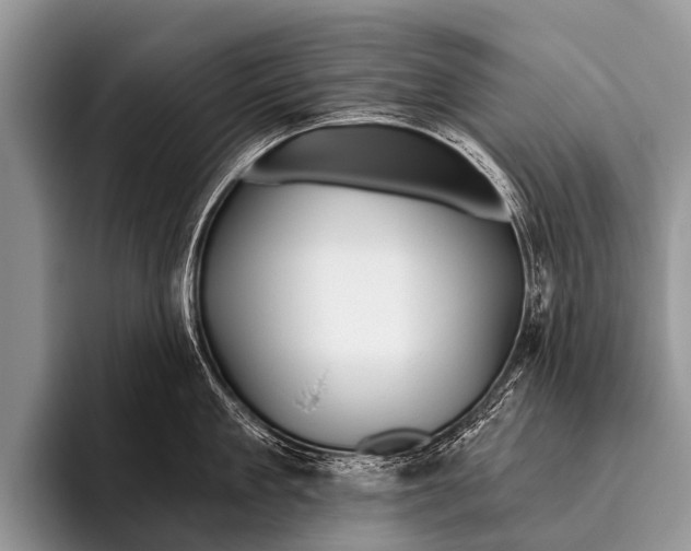 X0000095930909200802081214