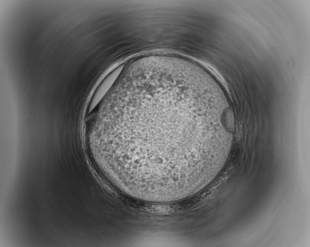 X0000095930911200802081214