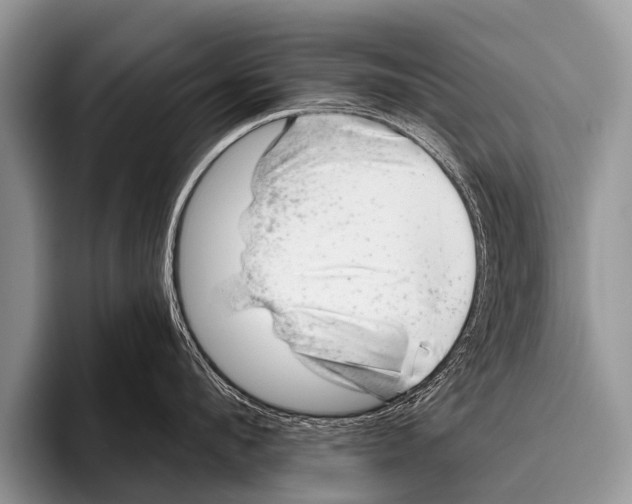 X0000095930912200802081214