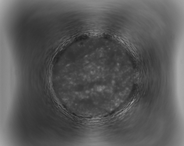 X0000095930913200802081213