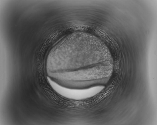 X0000095930916200802081213