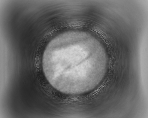 X0000095930917200802081213