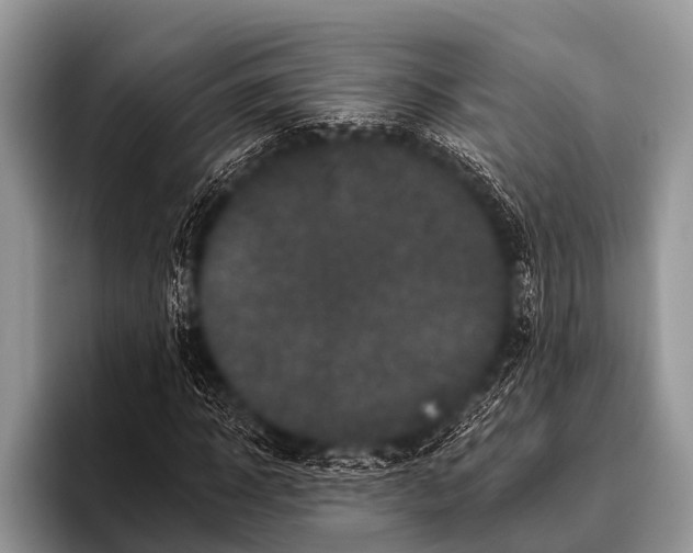 X0000095930918200802081213