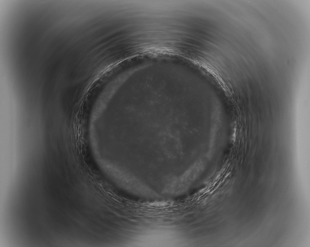 X0000095930919200802081213