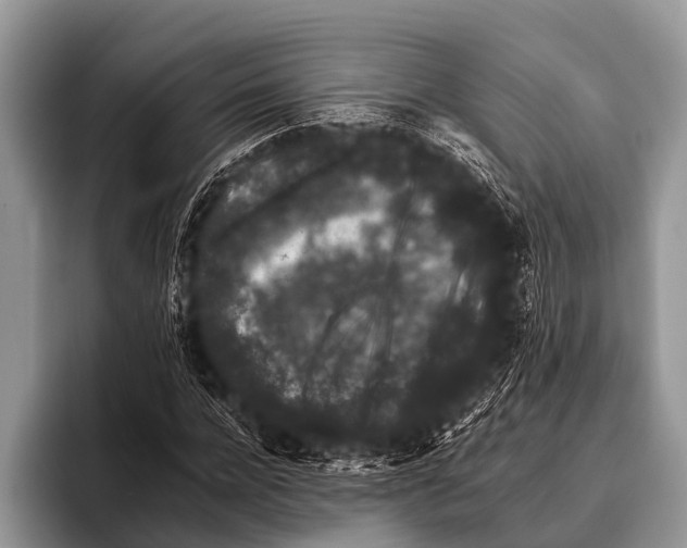 X0000095930920200802081213