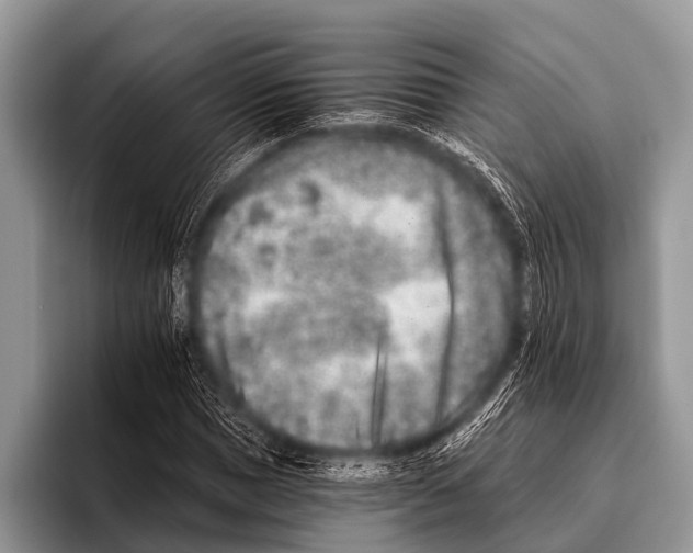 X0000095930921200802081213