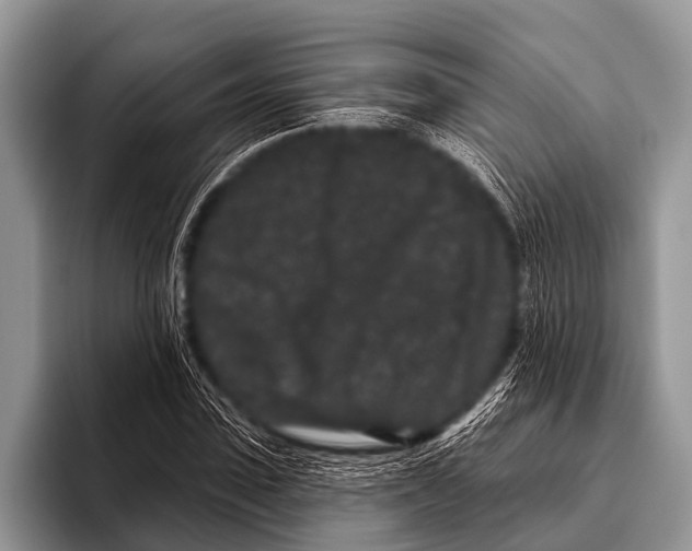 X0000095930923200802081213