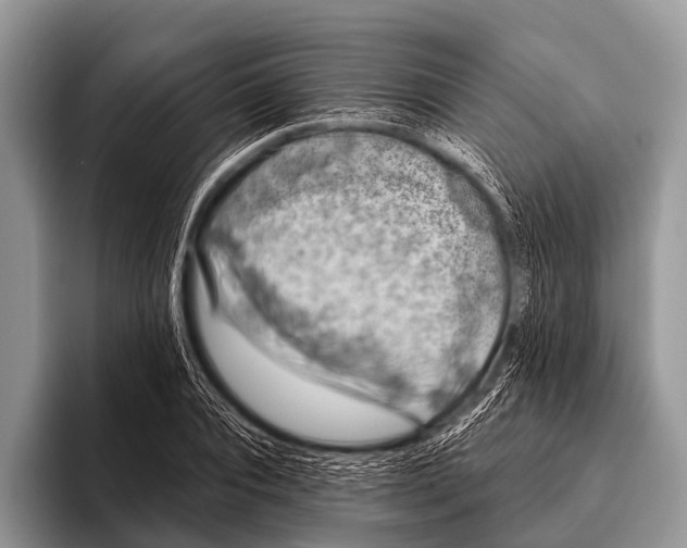 X0000095930928200802081213