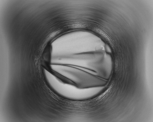 X0000095930930200802081213