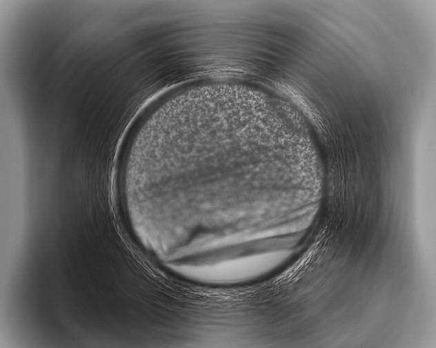 X0000095930932200802081213