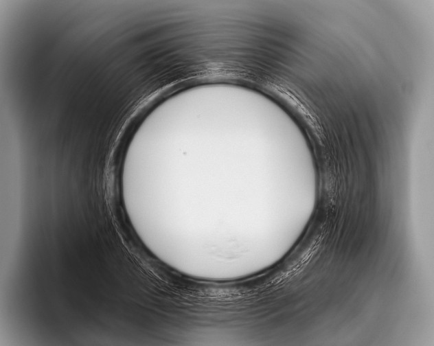 X0000095930933200802081213