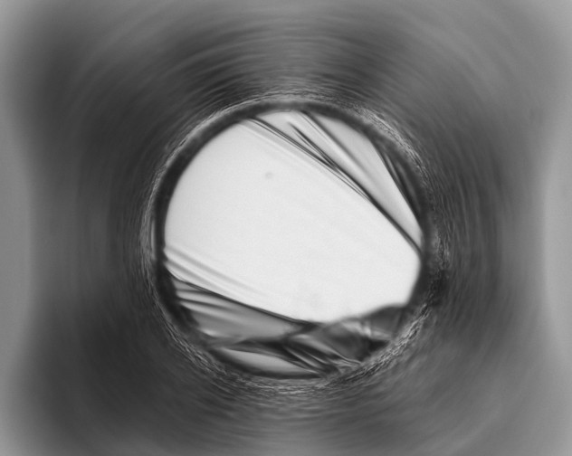 X0000095930934200802081214