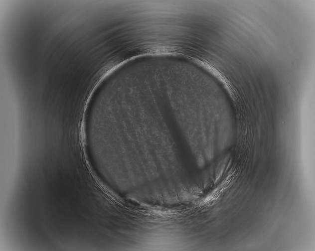 X0000095930935200802081214