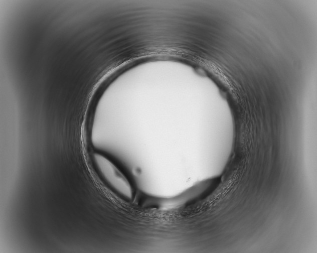 X0000095930936200802081214