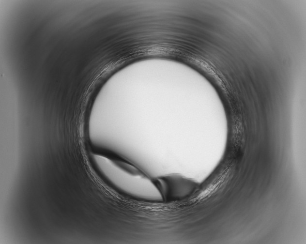 X0000095930938200802081214