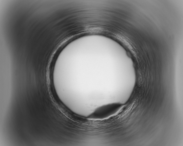 X0000095930939200802081214