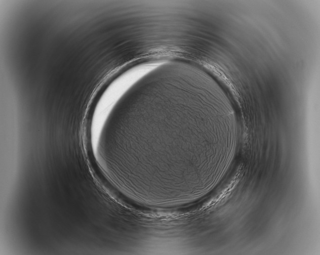 X0000095930941200802081214