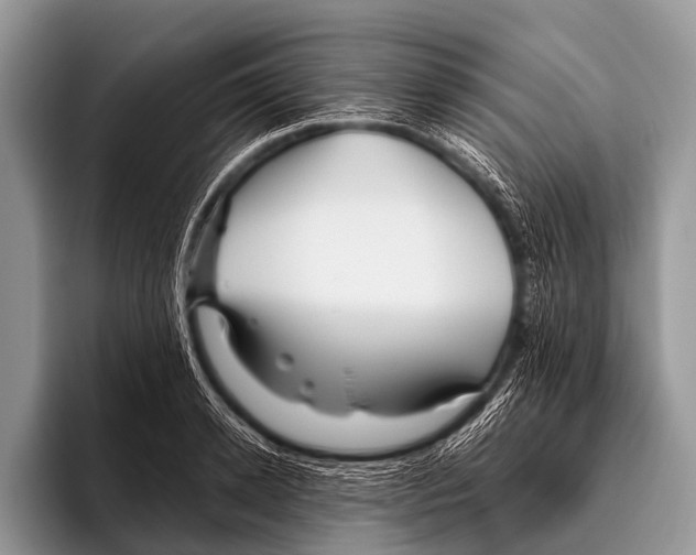 X0000095930942200802081214
