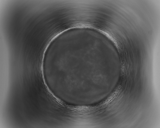 X0000095930943200802081214