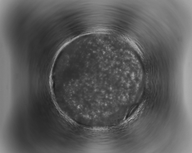 X0000095930944200802081214