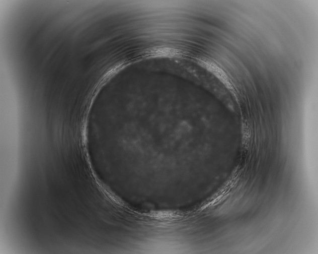 X0000095930946200802081214