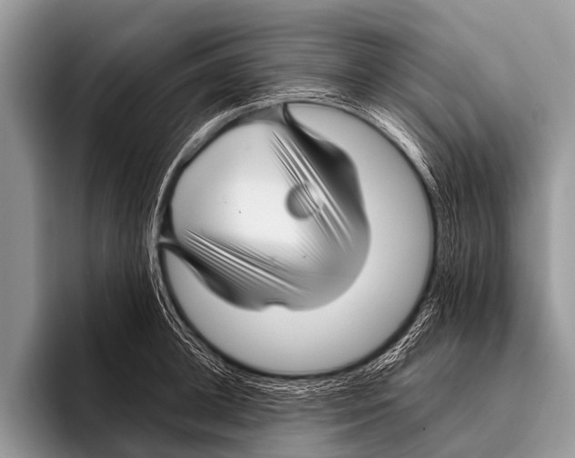 X0000095930948200802081214