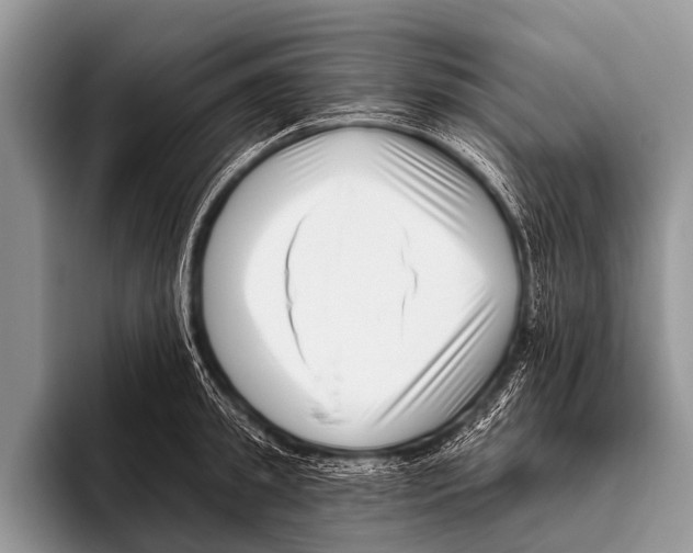 X0000095930949200802081214