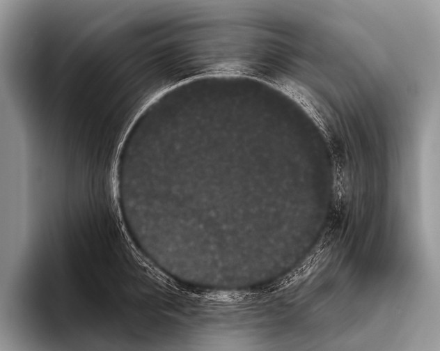 X0000095930950200802081214