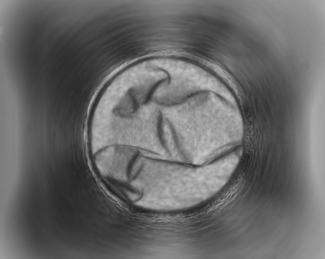 X0000095930951200802081214