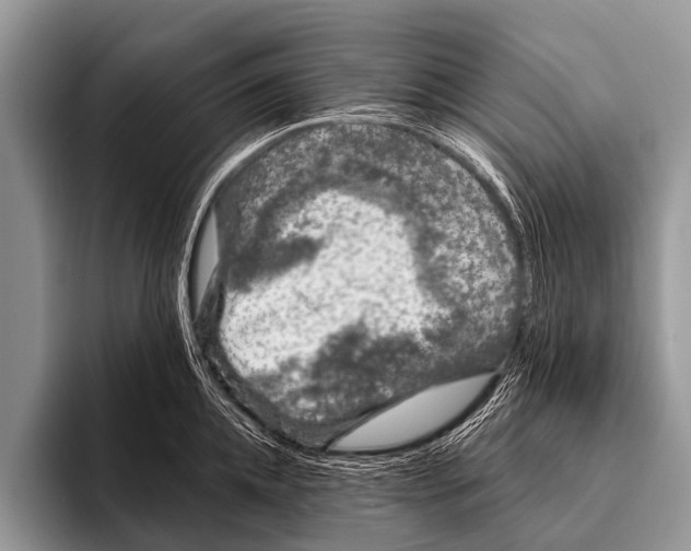 X0000095930952200802081214