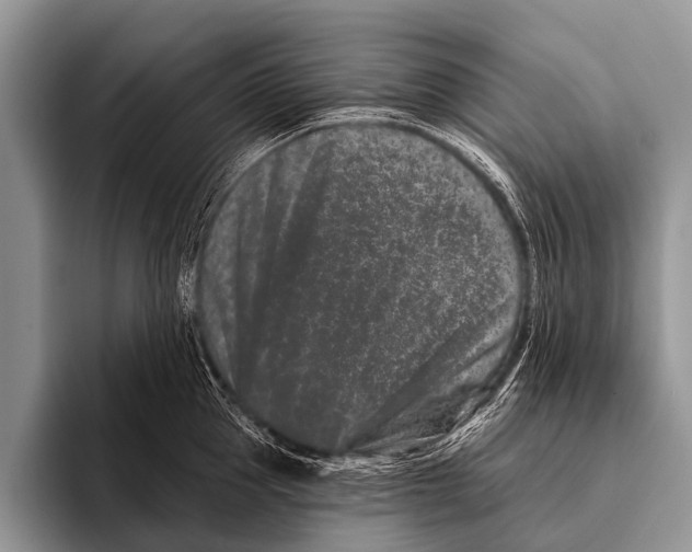 X0000095930953200802081214