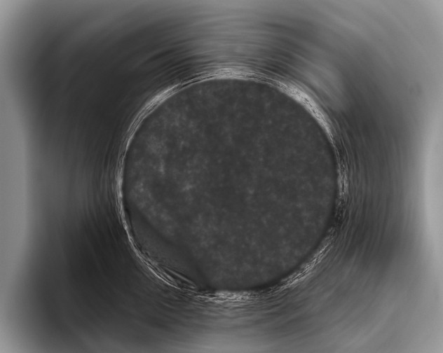 X0000095930954200802081214