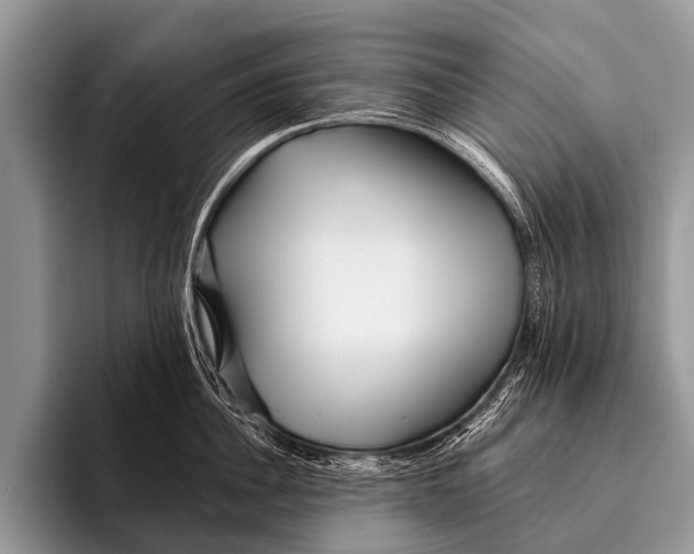 X0000095930956200802081214