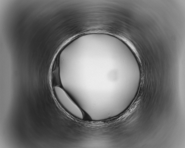 X0000095930957200802081214