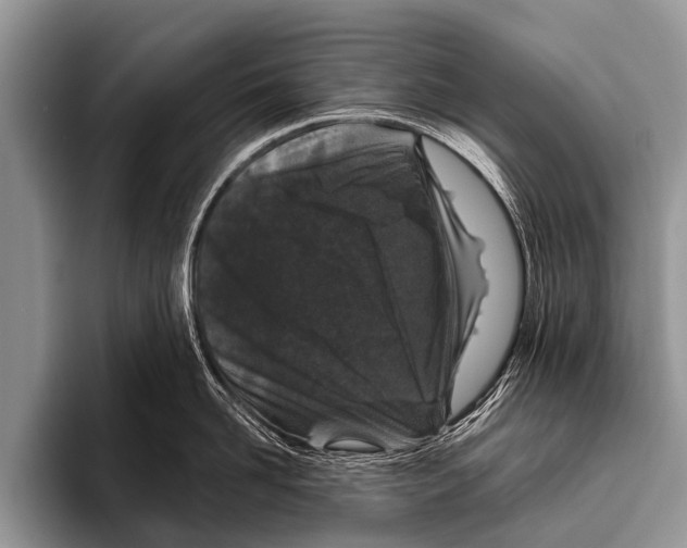 X0000095930958200802081214