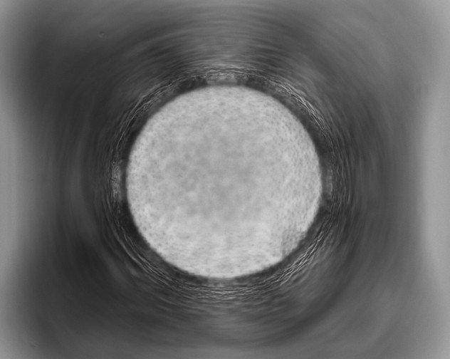 X0000095930964200802081213