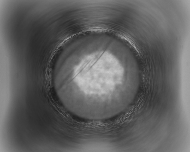 X0000095930968200802081213