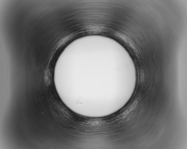 X0000095930970200802081213
