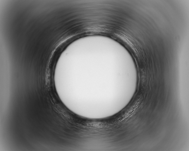 X0000095930971200802081213