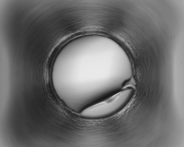 X0000095930973200802081213