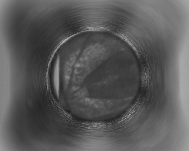 X0000095930975200802081213
