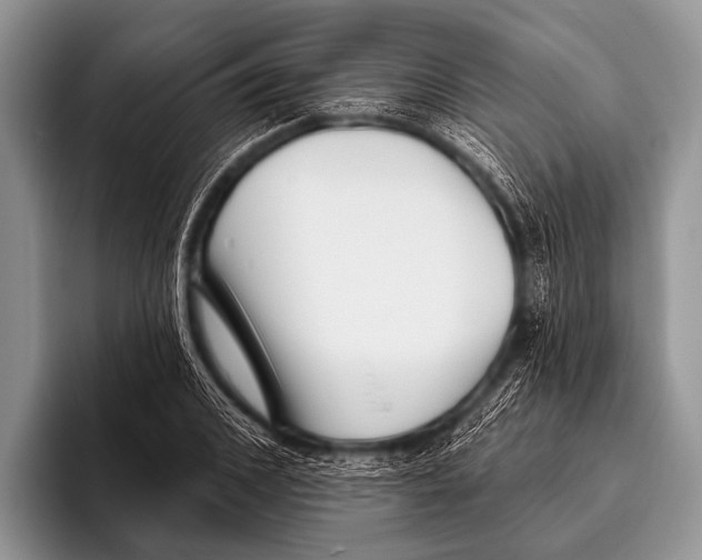 X0000095930976200802081213